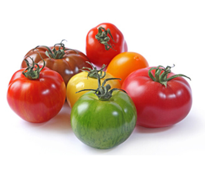 TOMATE VARIEE BQ3