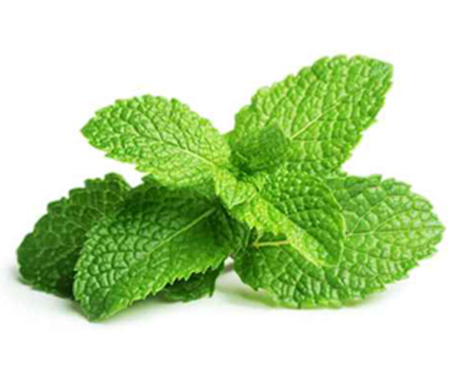 MENTHE CITRON