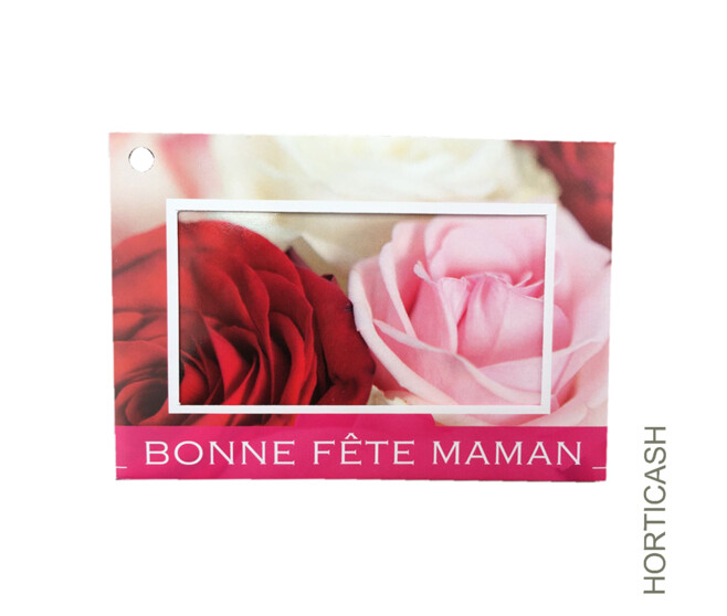 CARTES JESO BONNE FETE MAMAN x10