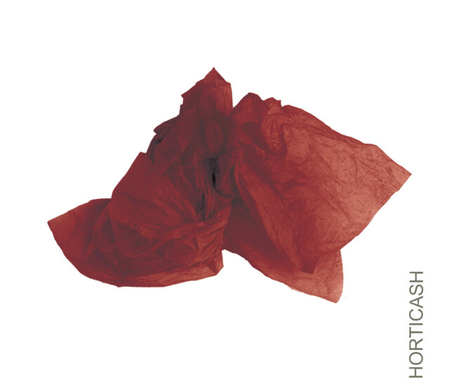 MOUSSELINE 18GRD 50X75CM BORDEAUX x240