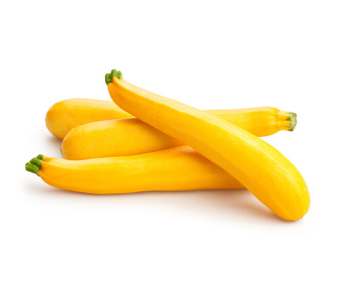 COURGETTE ORELIA LONGUE JAUNE BQ6