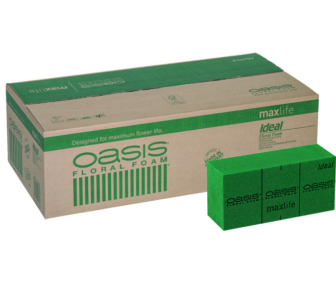 OASIS IDEAL 23X11X08CM x35