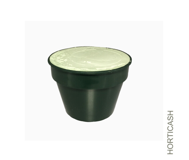 POT B+MOUSSE 16CM VERT FONCE