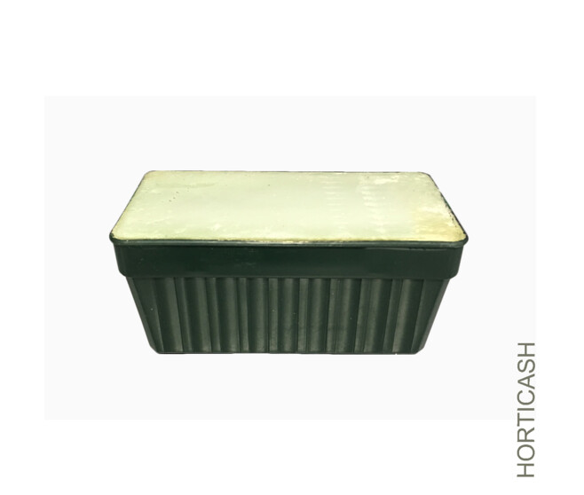 JARD HORT.+MOUSSE 25CM VERT FONCE