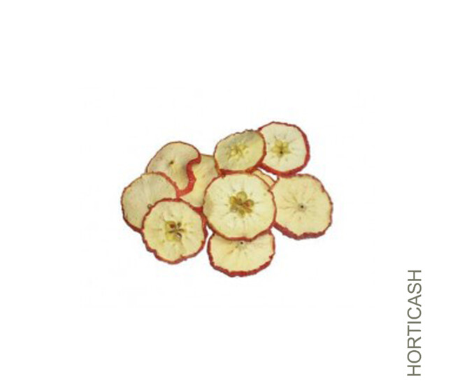 TRANCHES DE POMME 500GR ROUGE