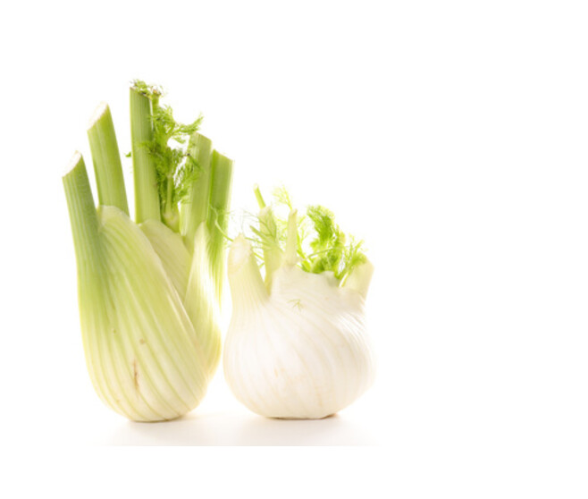 FENOUIL VERT