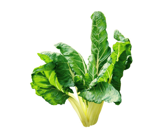 CARDE VERTE DE BRESSANNE
