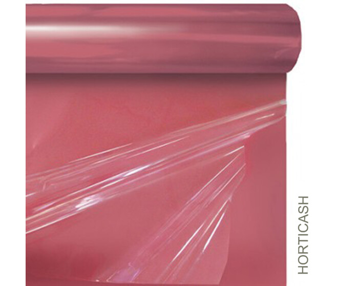 GAINE CLAYREX 0.80X50M BURGANDY