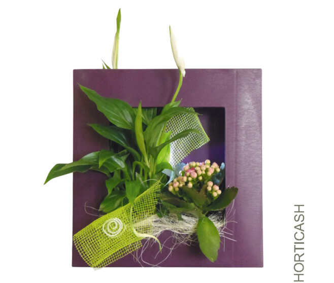 TABLEAU VEGETAL 25X25CM PRUNE