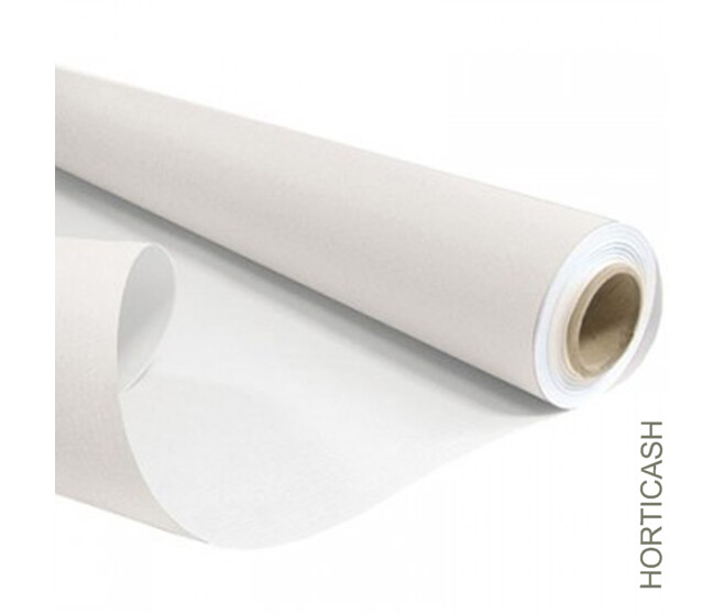 KRAFT BLANC 0.80X040M BLANC