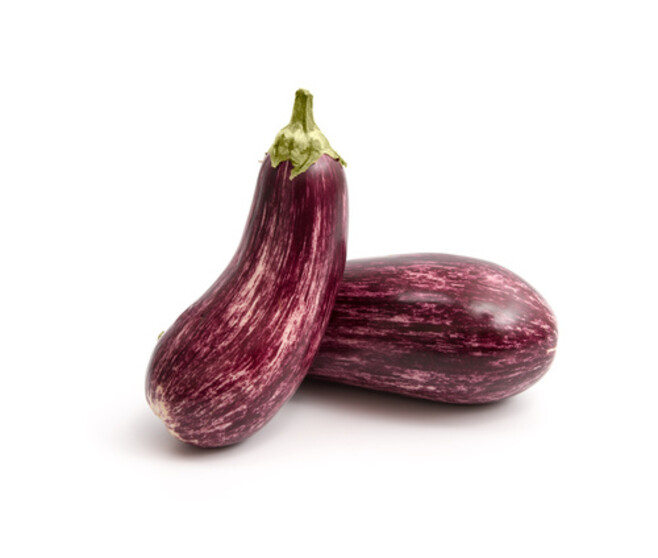 AUBERGINE RANIA