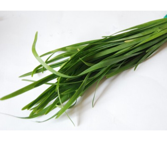 CIBOULAIL