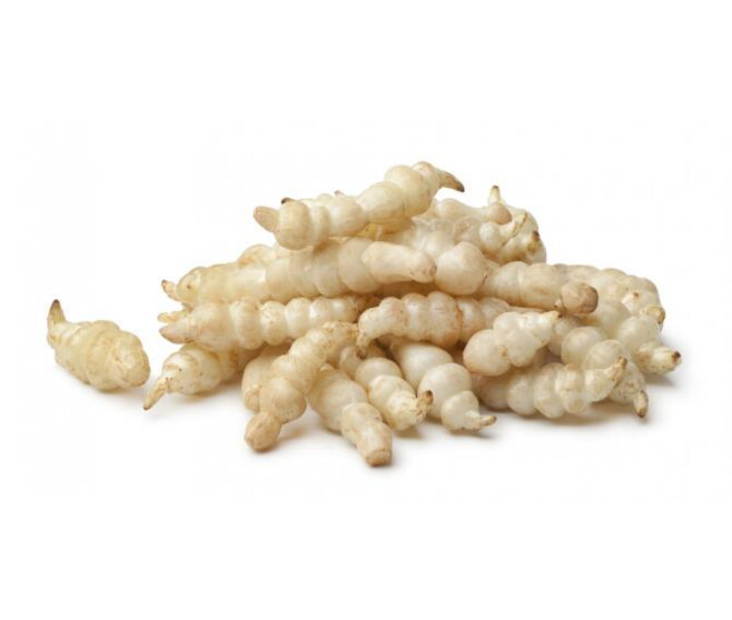 CROSNES DU JAPON