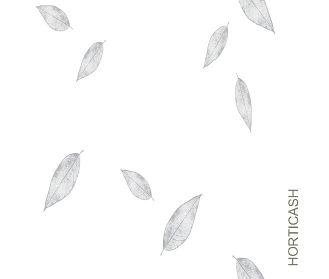 POLYPRO 40M 0.80X120M SYMPHONIE FEUILLES BLANCHES