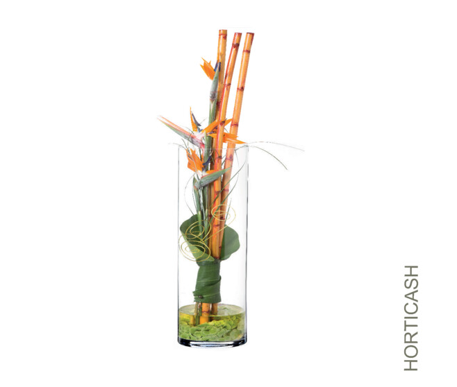 VASE CYLINDRE D19 H20CM