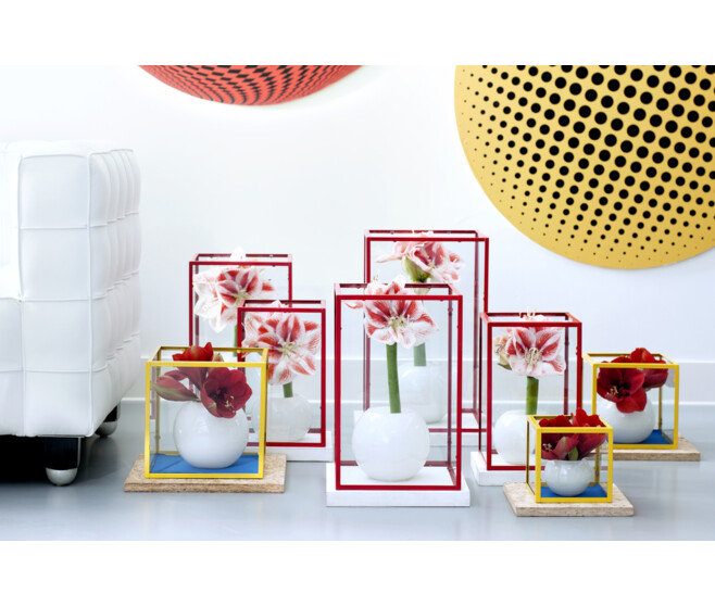 AMARYLLIS 2TIGES CIRE