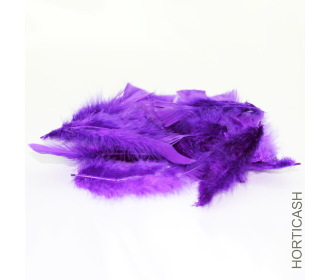 PLUMES AUBERGINE