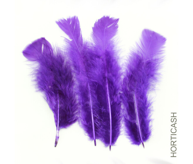 PLUMES AUBERGINE