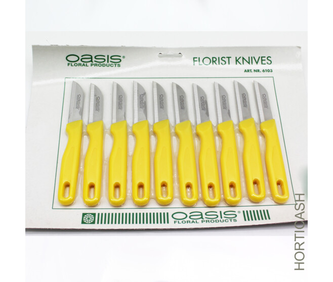 OASIS COUTEAU PLAQUE x10