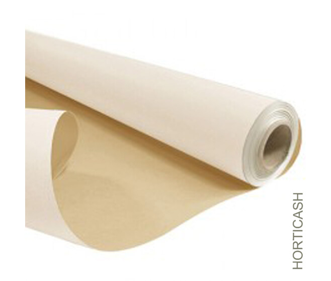 KRAFT NAT 0.80X50M BLANC