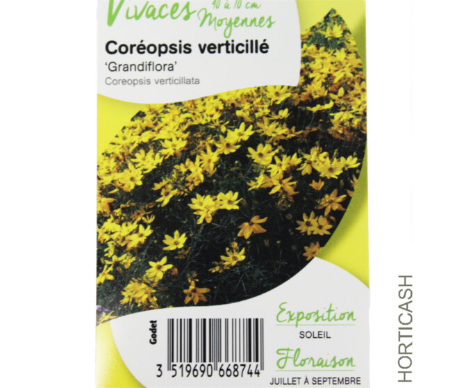 COREOPSIS VERTICILLATA GRANDIFLORA