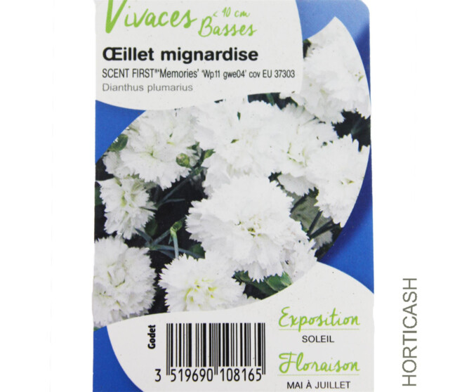 OEILLET PLUMARIUS SCENT FIRST MEMORIES