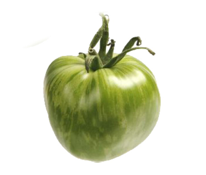 TOMATE GREEN ZEBRA