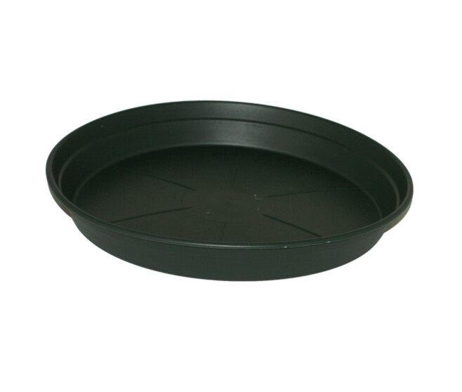 SOUCOUPE D12CM VERT