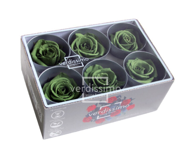 ROSES STABILISEES VERT THE x6