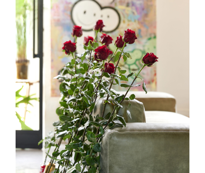 ROSIER PATIO ROUGE
