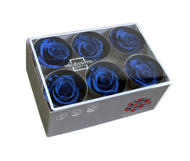 ROSES STABILISEES BLEU ROYAL x6