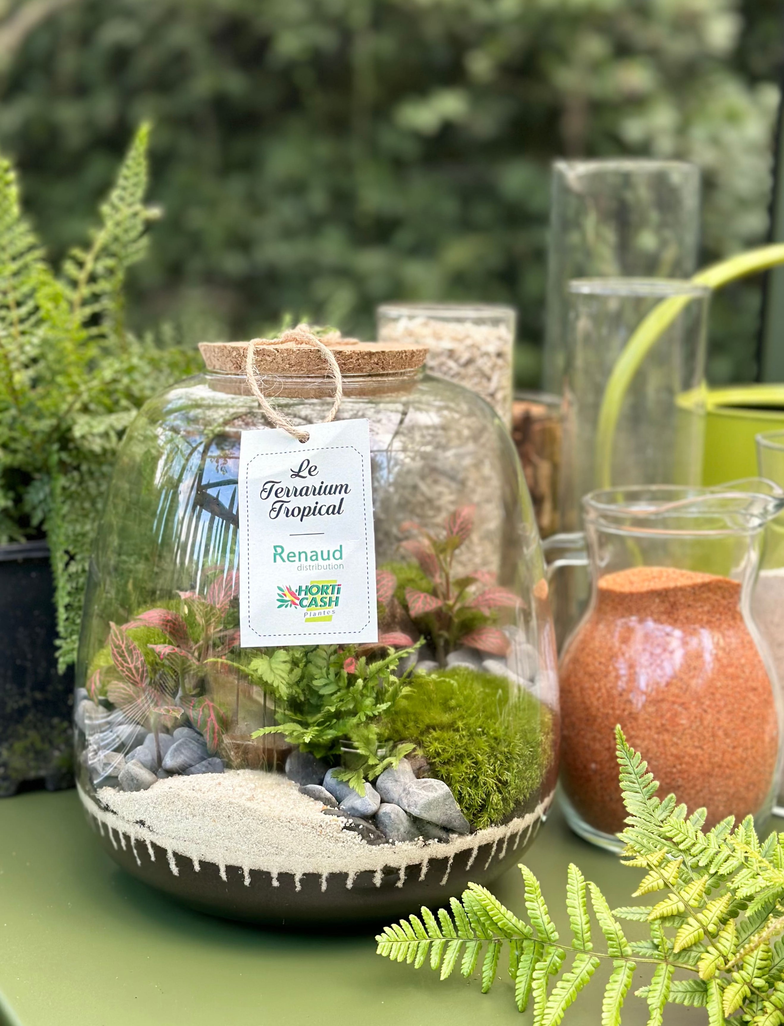 As du Jardin : Les terrariums Atelier Création