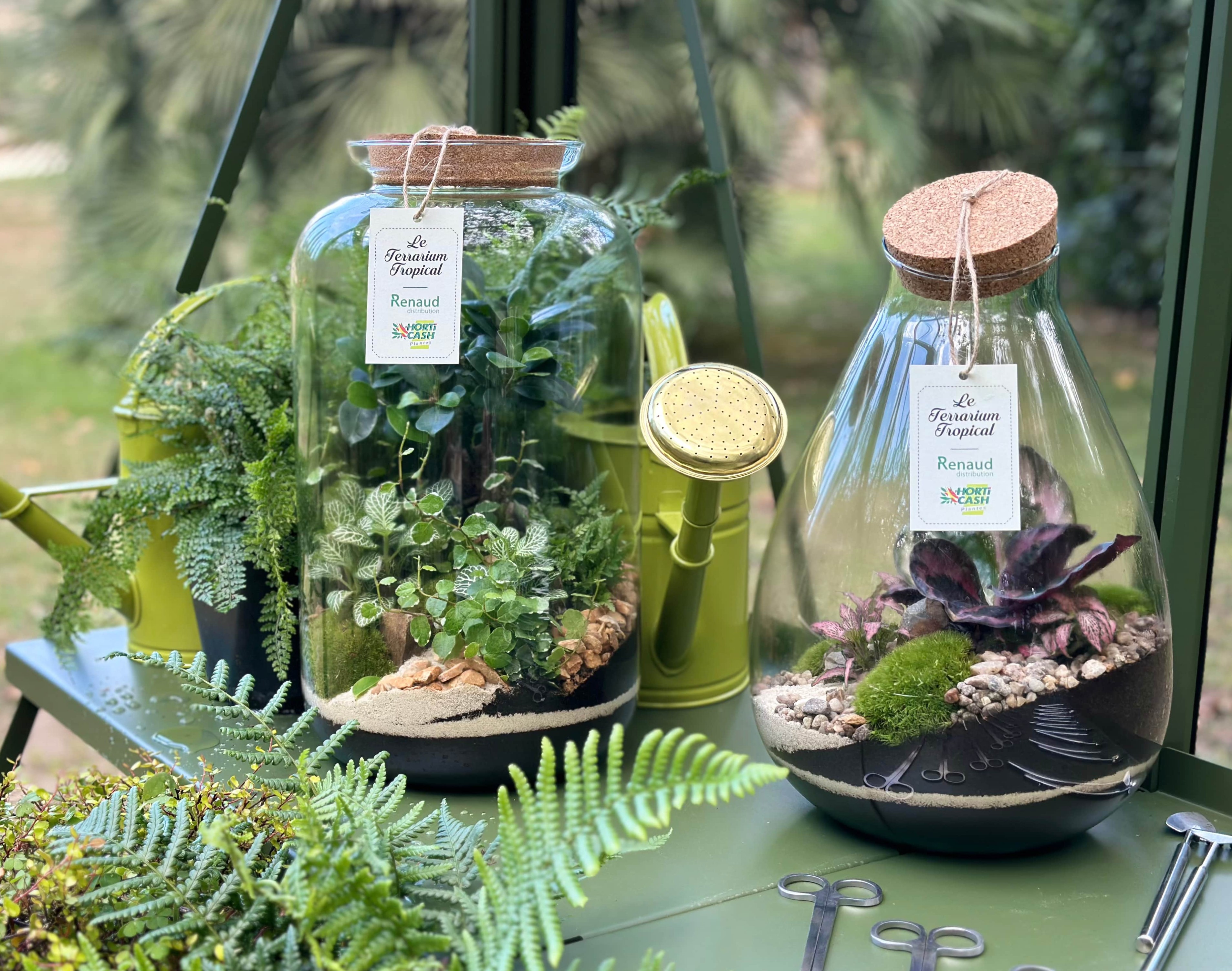 As du Jardin : Nos Terrariums
