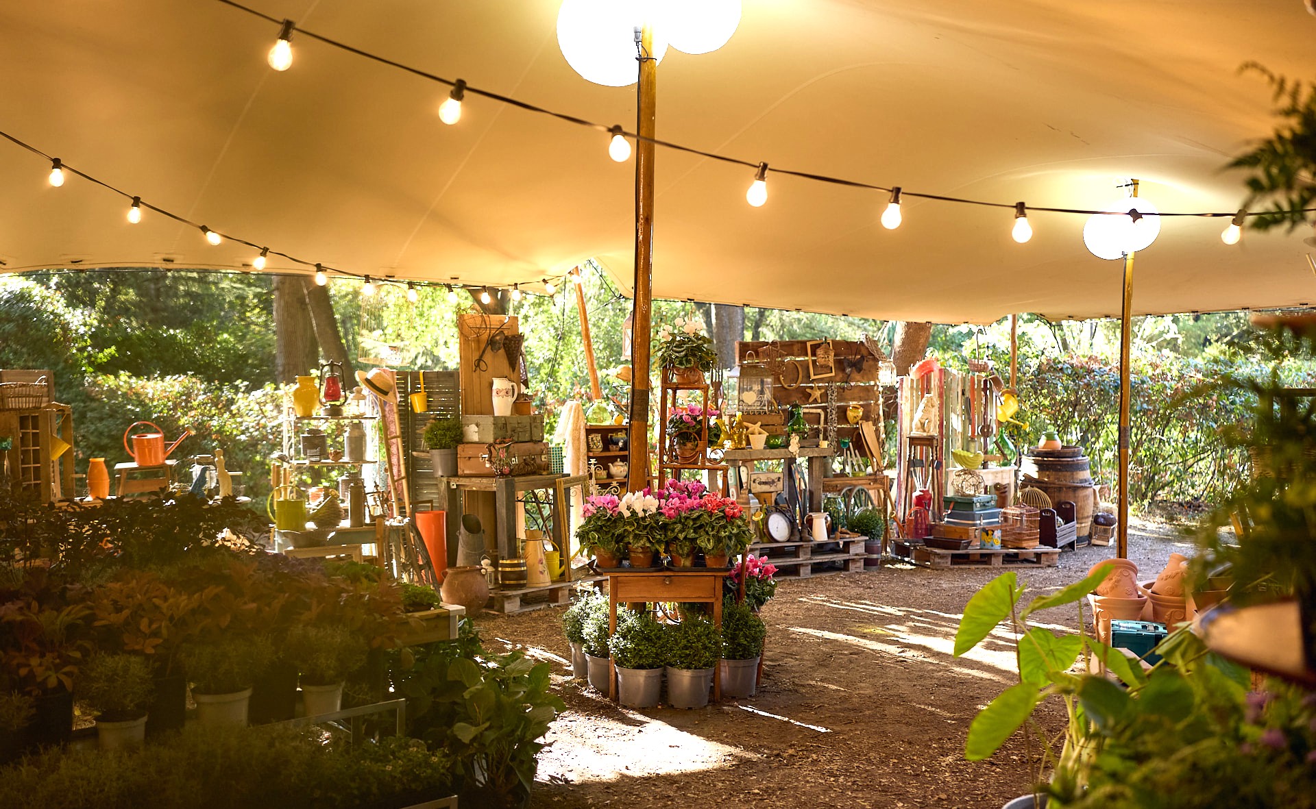 As du Jardin : Les plantes