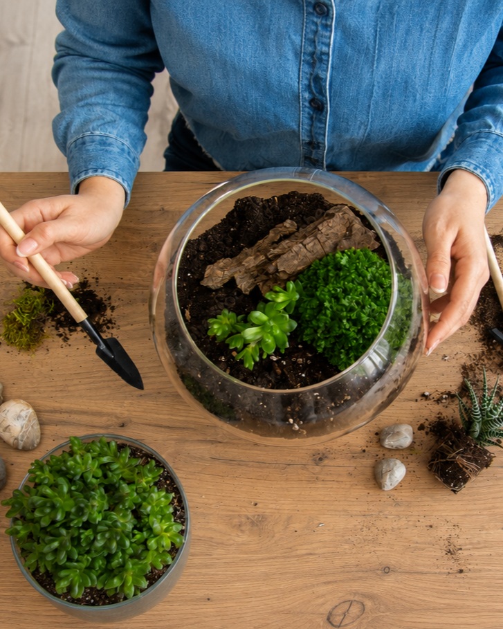 Création de Terrarium à l'Atelier Création 