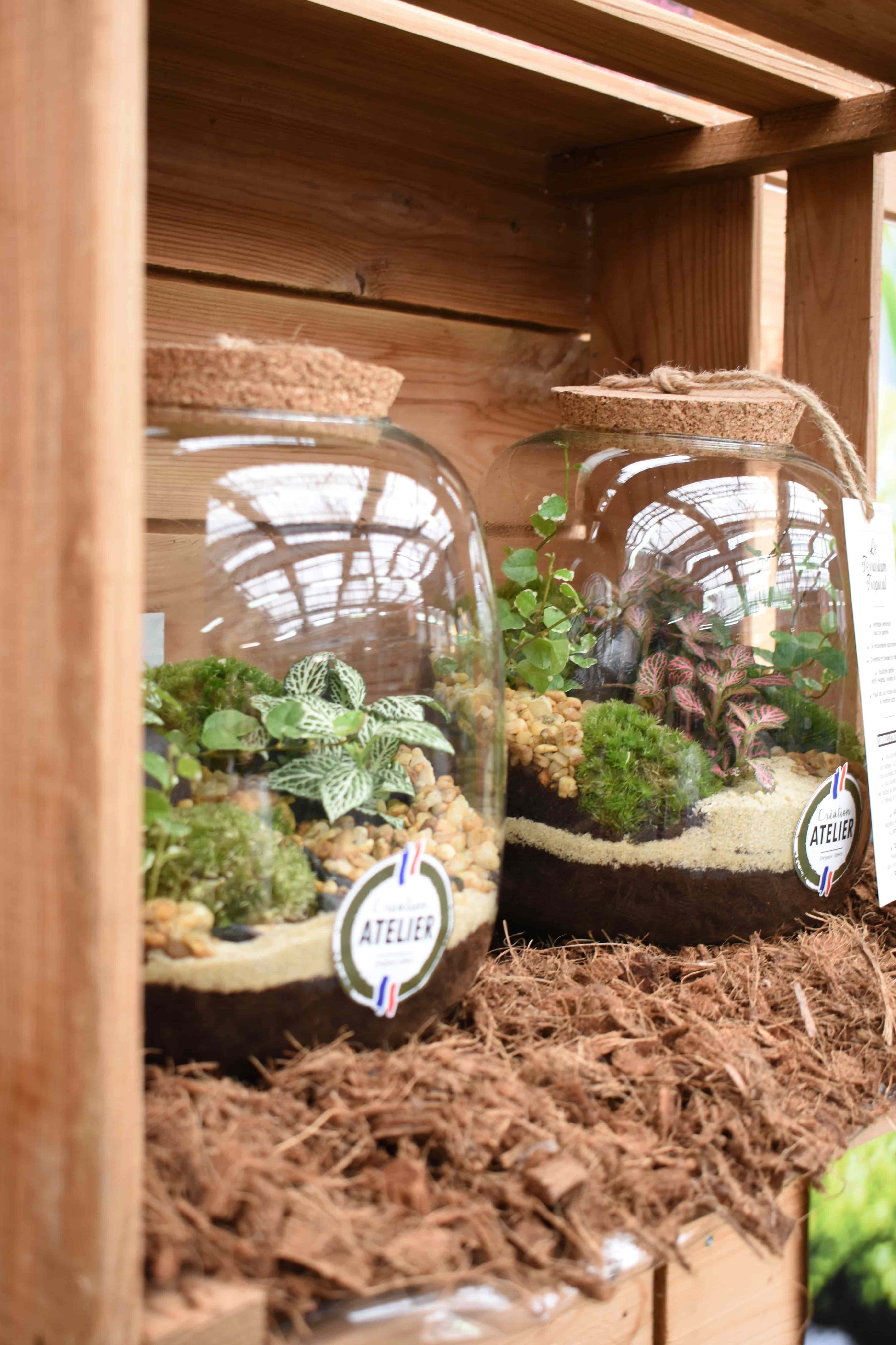 Les terrariums Tropicaux