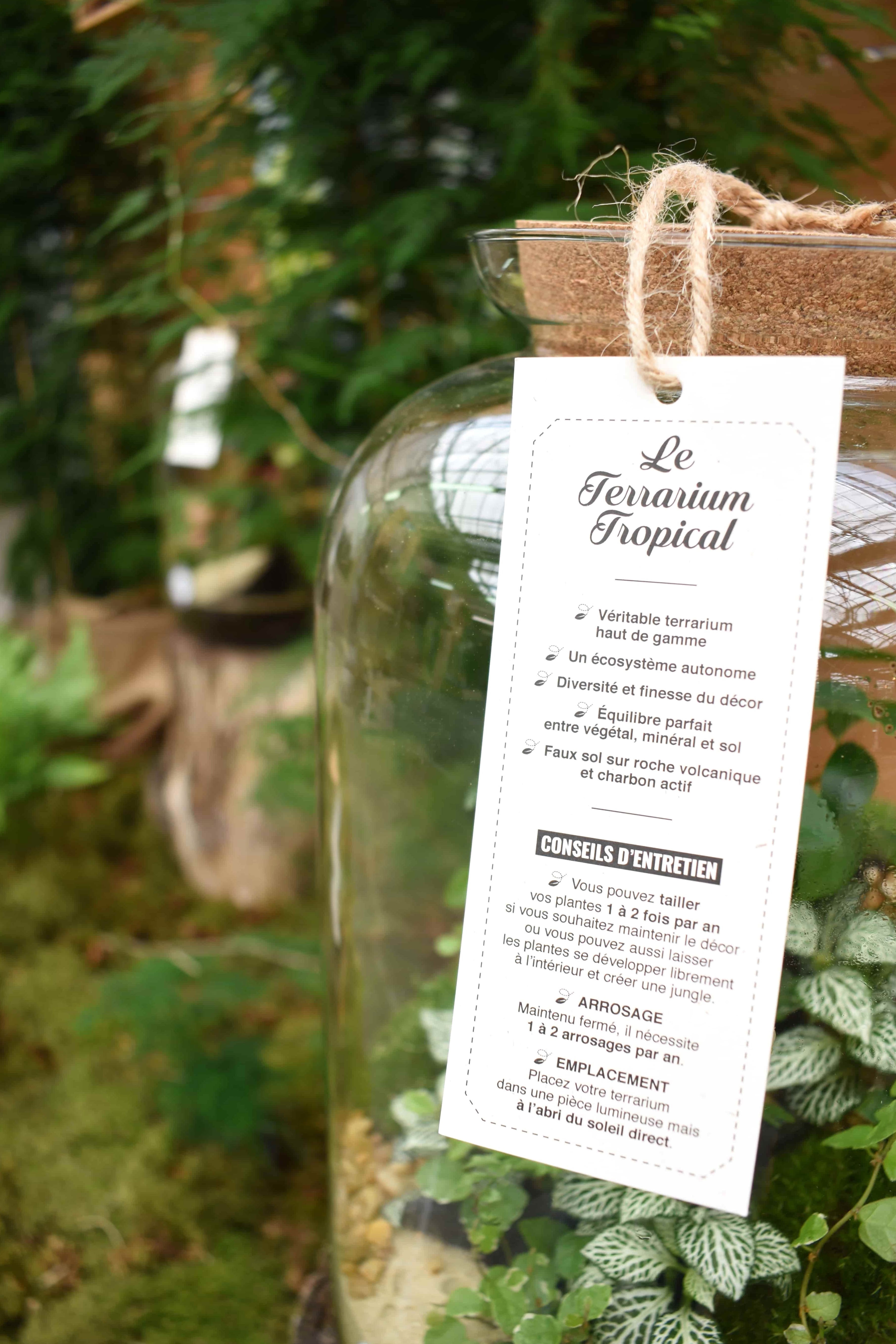 Terrarium tropicaux : Conseils d'entretien