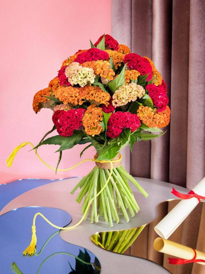 Bouquet de fleurs de célosie